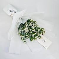 9243 - Image 2