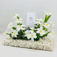 6509-67 - صورة 3