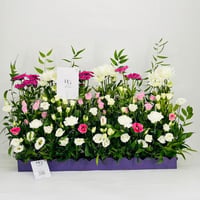 9848-783 - Image 1