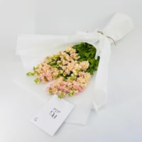 14239 - Image 3