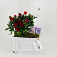 12850 - Image 2