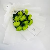 8691 - Image 2