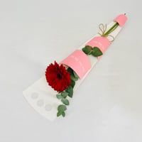 11544-681 - صورة 2