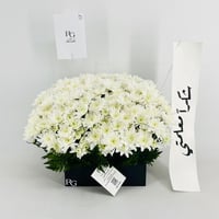 13948 - صورة 1