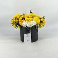 4923-64 - صورة 1