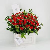8333-93 - Image 2