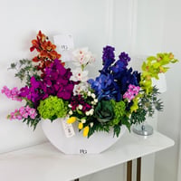 14508 - Image 1