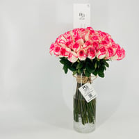 13272 - صورة 2