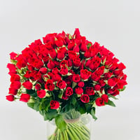 13184 - صورة 2