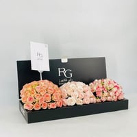 5826-535 - صورة 2