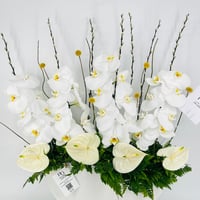 12639-795 - صورة 4