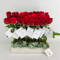 13911 - Image 4