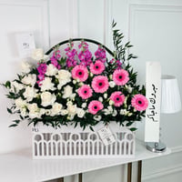 17071 - Image 1