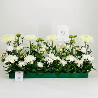 9845-745 - Image 1