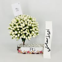 13445 - صورة 1
