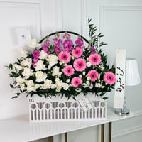 17079 - Image 1