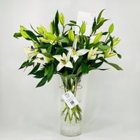 11903-613 - صورة 3