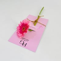 9831 - Image 2