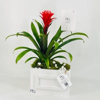 12433 - Image 2