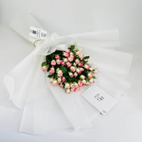 9311 - Image 2