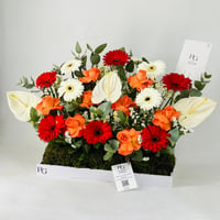 12098-653 - صورة 2