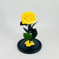 11278 - Image 3