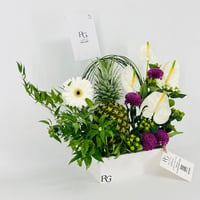14203 - Image 2