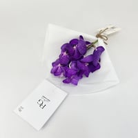 14232 - صورة 3