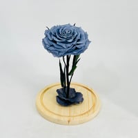 11237 - Image 3