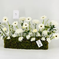 12949 - Image 3