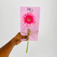 9831 - Image 3