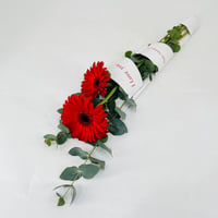 11644-670 - Image 2