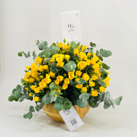 10484-421 - صورة 3