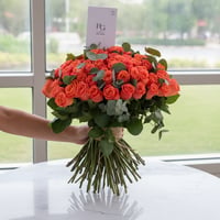 15446 - Image 1