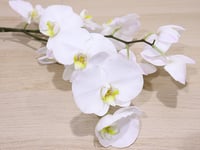 4161-305 - صورة 2