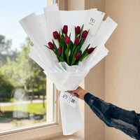 27481 - Image 1