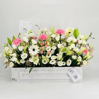 9694N - Image 1