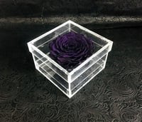 2100 - صورة 1