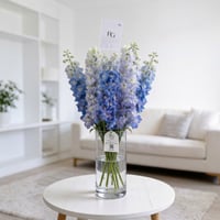 27169 - Image 1