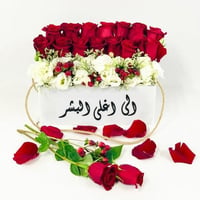 1731 - صورة 1