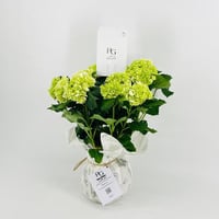 9529-311 - Image 2