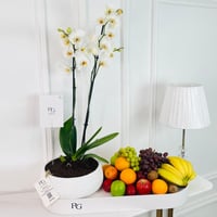 16991 - صورة 1