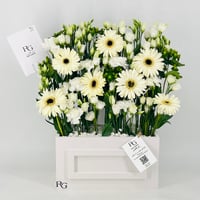 12598-753 - Image 1