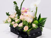 3351-95 - صورة 2