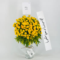 12657 - صورة 3