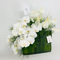 13846 - صورة 2