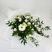 11729 - Image 1
