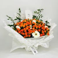 11773-570 - صورة 2