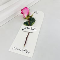 13991 - صورة 4