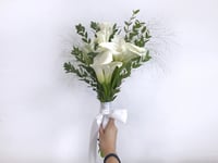 3721-372 - صورة 1
